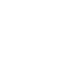 lightbulb icon