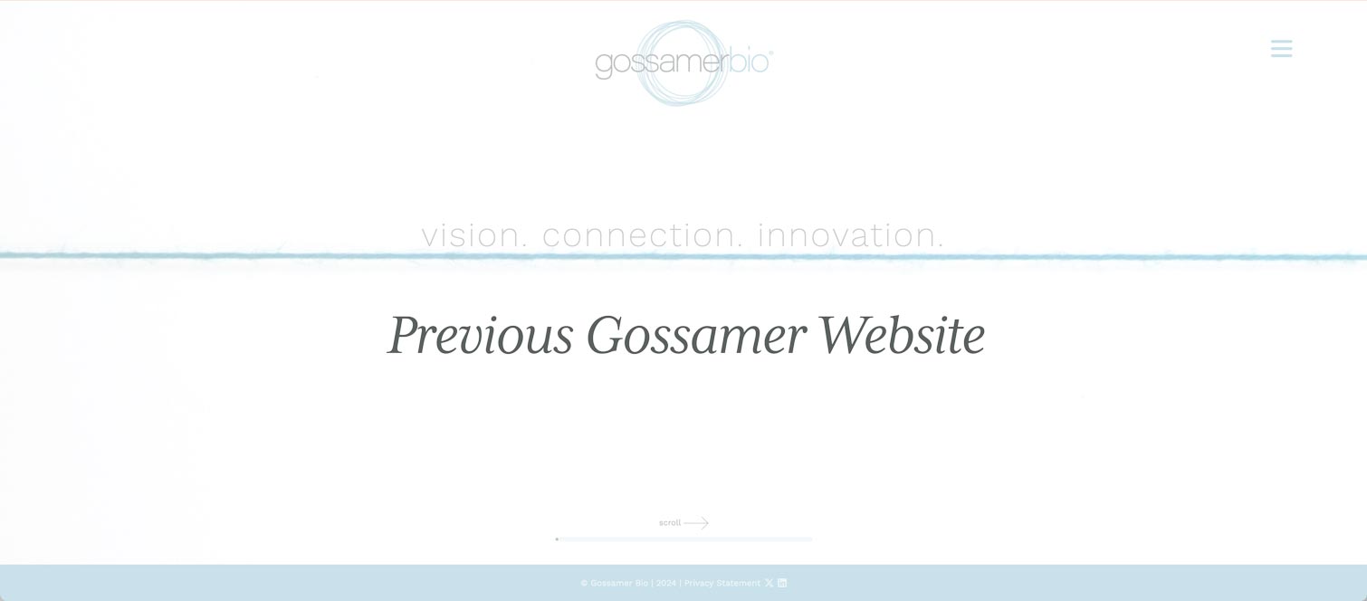 gossmer-img-02