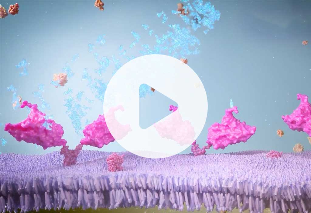immuneering-video-thumb